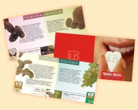 /album/alexandre-paulinetti/tradal-jpg/