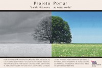 /album/alexandre-paulinetti/premioapple1-jpg/