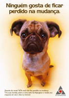 /album/alexandre-paulinetti/cartaz4-jpg/